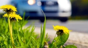 ЕС иска намеса на СТО заради Русия