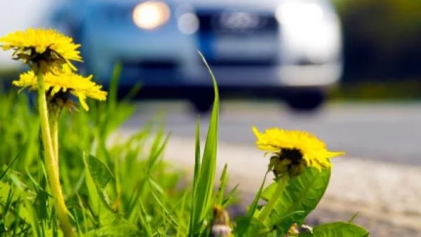 ЕС иска намеса на СТО заради Русия