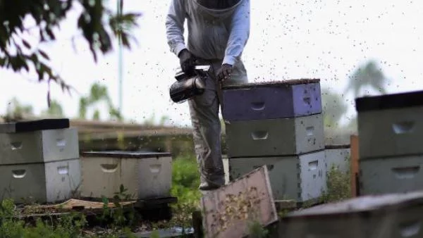 И пчеларите тръгват на протест