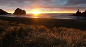 Нова Зеландия няма да помага на туризма в Тонга