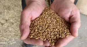 2013/07/15/0351679001380559635