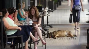 Гърция намалява ДДС в ресторанти, барове и кафета