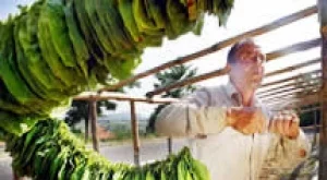 2013/07/18/0763253001380559387