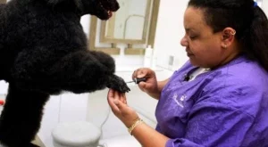 В кои индустрии да започнем бизнес през 2013?