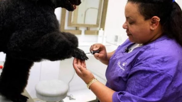 В кои индустрии да започнем бизнес през 2013?