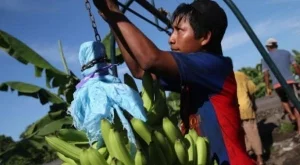 2013/08/05/0129406001380558470