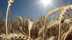 2013/08/05/0539135001380558433