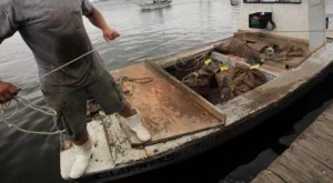 Топ 12 на най-опасните професии в САЩ