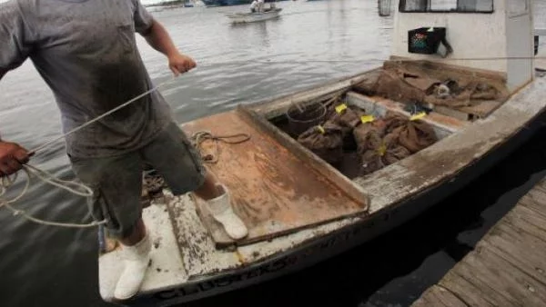 Топ 12 на най-опасните професии в САЩ