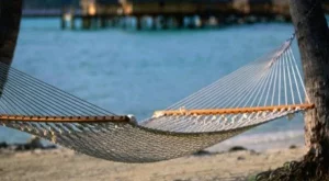 2013/08/11/0542321001380558105