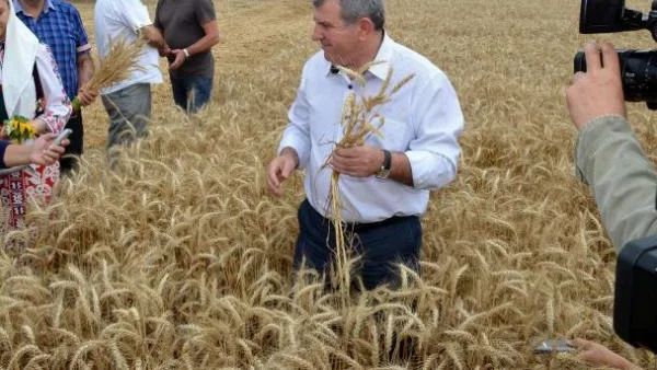 Цената на хляба пада през следващите месеци