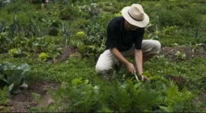 Какво правят (или трябва да правят) успелите хора през уикендите?