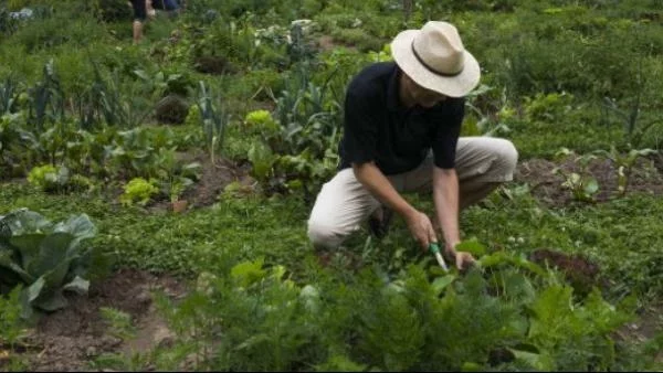 Какво правят (или трябва да правят) успелите хора през уикендите?