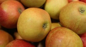 Ябълките поскъпнаха с рекордните 70%