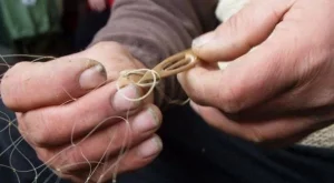 Годишният билет за риболов поскъпва