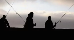 МЗХ: Няма да има поскъпване на риболовните билети