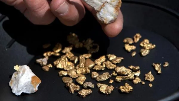 Златото поскъпна най-много за последните 11 седмици