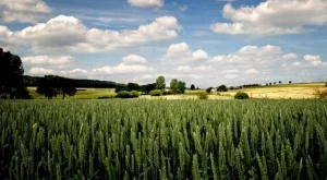 Чужденците се отказват от инвестиции в българското земеделие