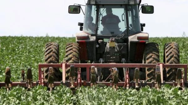 Между 20 и 30% от земеделските субсидии ще бъдат платени преди Нова година