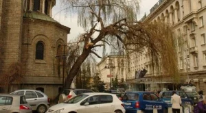 МИЕ организира обиколки из страната за индийски туроператори 