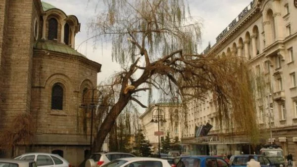 МИЕ организира обиколки из страната за индийски туроператори