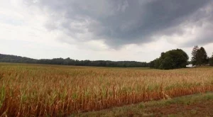 Минимален праг на арендата може да бъде заложен в закона