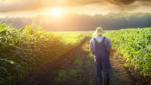 Индийските инвеститори предпочитат земеделието и фармацията у нас