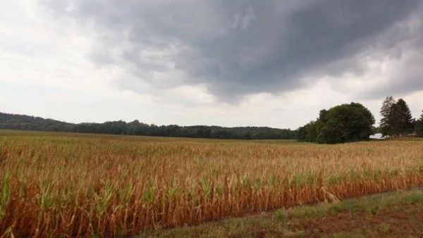 Чужденците ще могат свободно да купуват земя у нас от 1 януари

