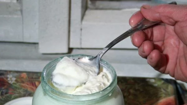 В Кипър разследват незаконни продажби на българско мляко