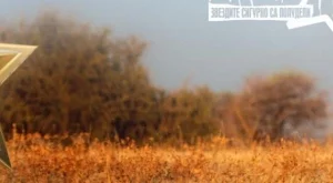 Виж участниците в "Африка: Звездите сигурно са полудели"