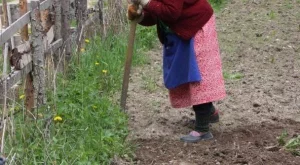 Рискуваме да загубим 30 млн. лв. по Програмата за селските райони