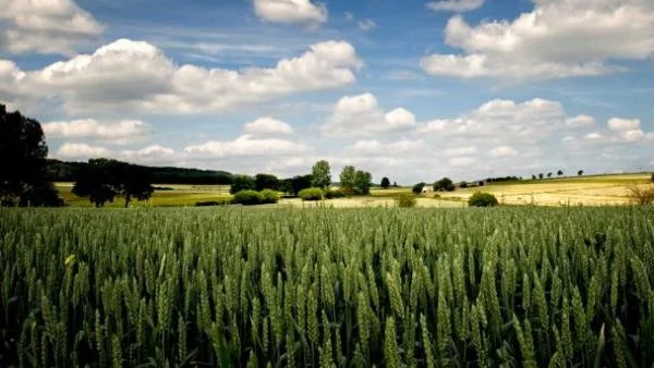 България настоява чужденци да не купуват земите й до 2020 г.