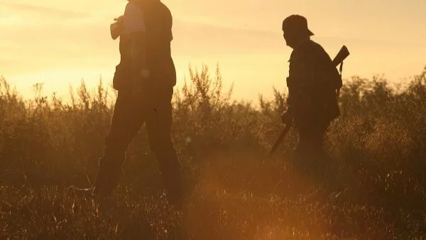 Откриха Африканска чума по свинете в Тулча, близо до България 