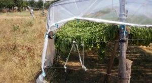 2013/10/01/0062313001380634668