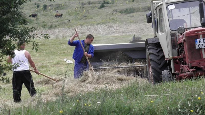 Разглеждат таксите и тарифите в земеделието и хранителната индустрия през есента