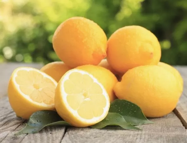 Как най-лесно да си отгледате лимоново дърво у дома