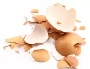 Черупки от яйца: Тор, за който всеки знае, но не винаги използва правилно