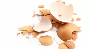 Черупки от яйца - мощен лек за здравословни неразположения
