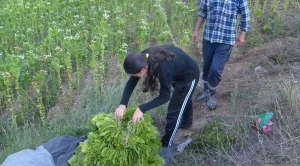 2013/10/01/0130686001380635632