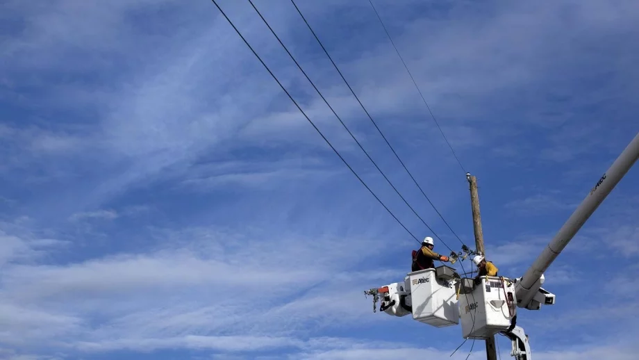 Шефът на ЕСО: Все още няма решение за опасните дървета до електропреносната мрежа