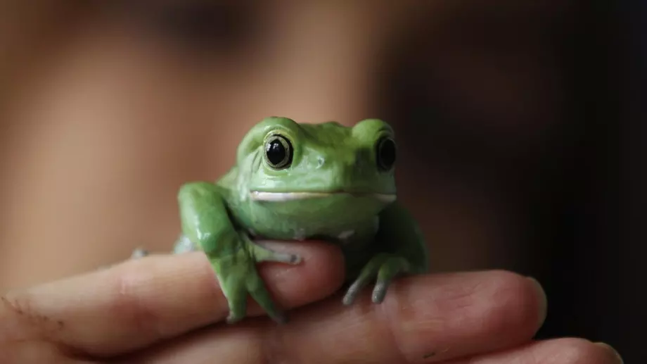 Германски учени създадоха живо същество, което не се нуждае от кислород