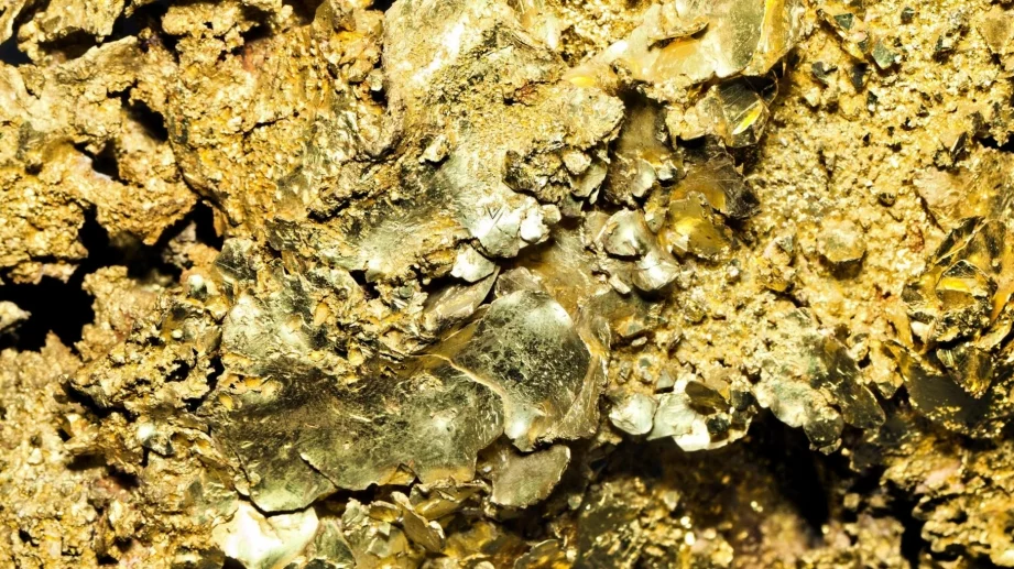 Златото остана под натиск въпреки слабостта на долара