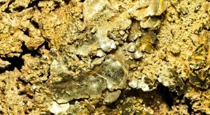 Златото продължава низходящата серия 