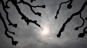 Прогноза за времето за 24 и 25 ноември