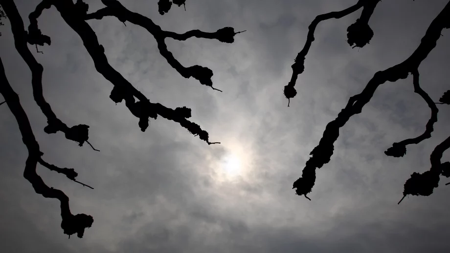 Прогноза за времето за 24 и 25 ноември