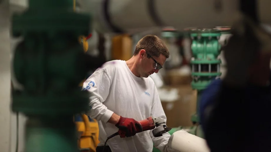 В почти половината фирми у нас работят само собствениците им