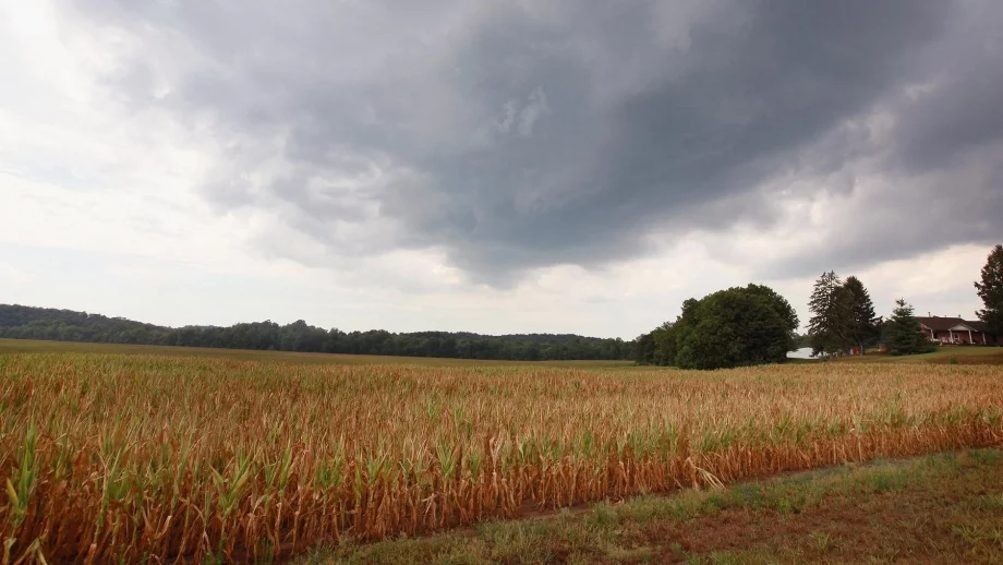 България може да загуби 377 млн.лева по Програмата за селските райони