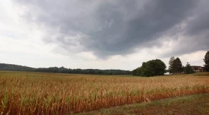 Няколко държави искат компенсации от ЕС заради земеделски загуби
