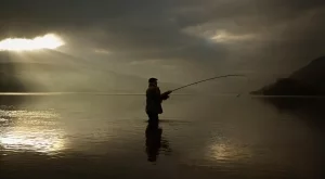 2013/10/01/0455563001380632743