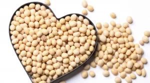 10 тона ГМО соя откриха в Бургас